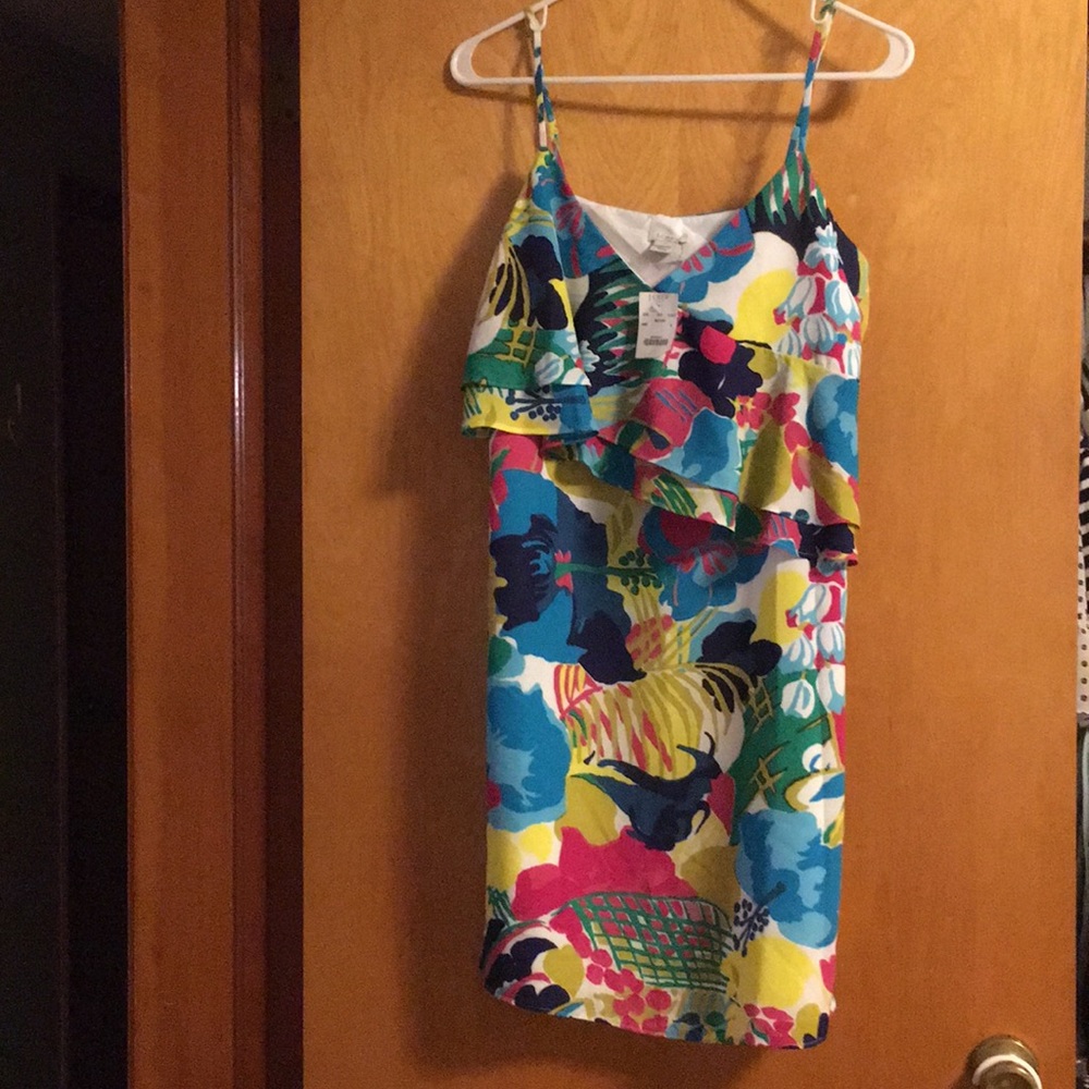 Beautiful Jcrew Dress! - Picture 4 of 4